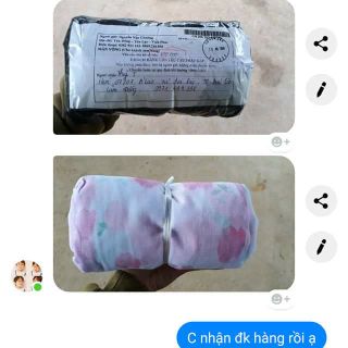 Màn võng chống muỗi cho bé