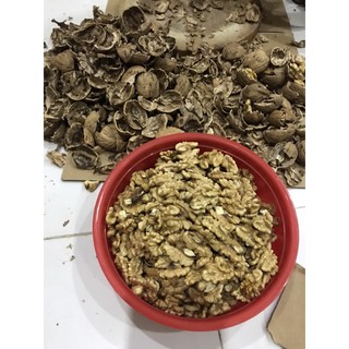 NHÂN ÓC CHÓ MỸ SỐNG - 500gr