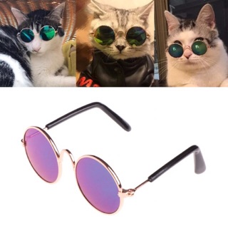 Mắt kính cool ngầu cho thú cưng