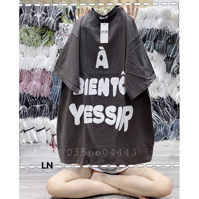 Áo phông YESIR LN12