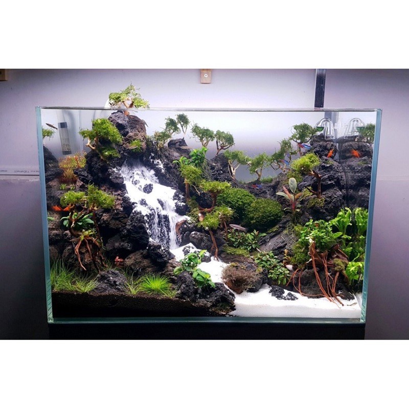 Đá Đen Gia Lai hàng tuyển setup bể thuỷ sinh