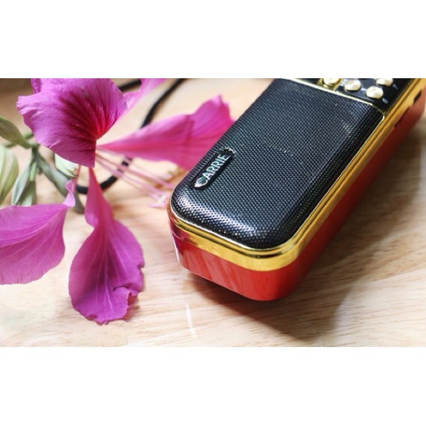 Loa Đài Cầm Tay Nghe Thẻ Nhớ Radio Fm Pin Dung Lượng Cao Âm Lượng Lớn - CA121 CARRIE 8gb Nghe Nhạc Vàng - Đỏ - Niệm Phật