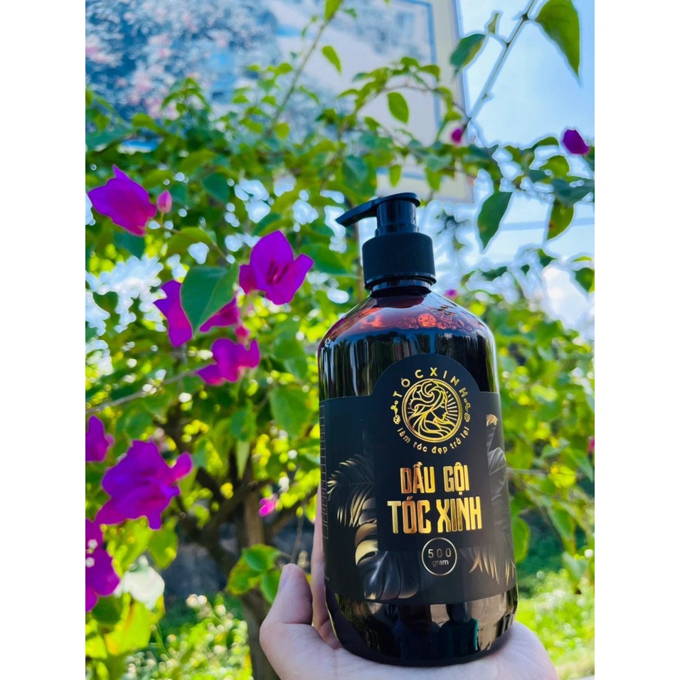 Dầu Gội Tóc Xinh 500ml