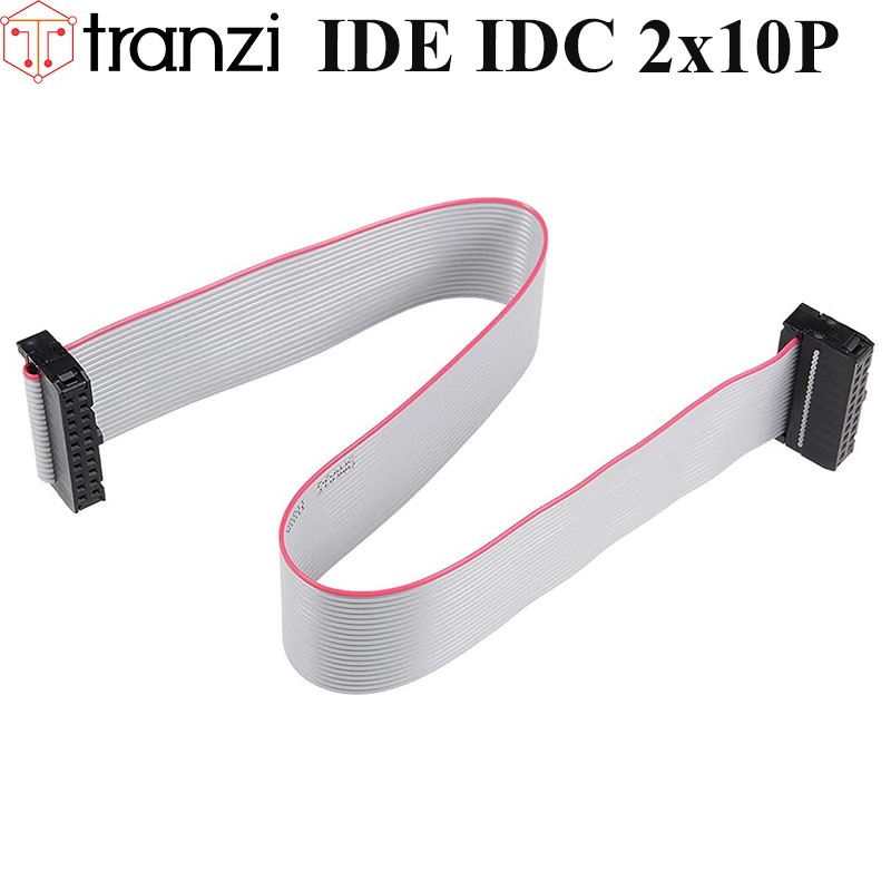 Dây cắm header 2.54mm IDE IDC 2x10P 25cm dập 2 đầu - túi 1 cái