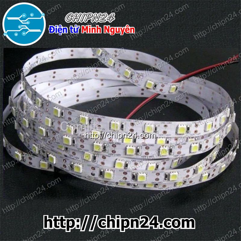 [1 MÉT] [1 MÉT] Led Dây 5050 Không Keo Chống Nước XANH DƯƠNG 12VDC
