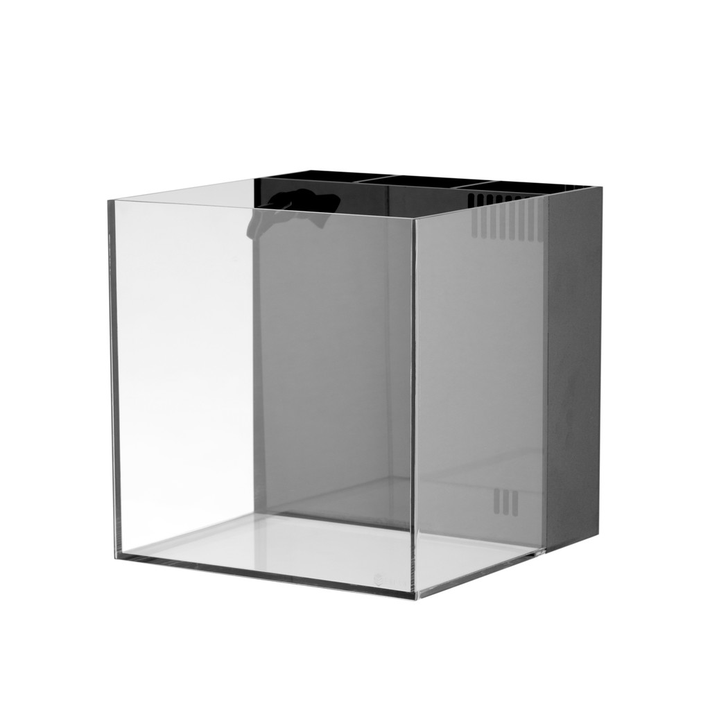 Hồ cá lọc vách Acrylic Suối Nhỏ 30x30x30cm Suối nhỏ  | hồ cá thuỷ sinh cá cảnh có sẵn  ko nắp