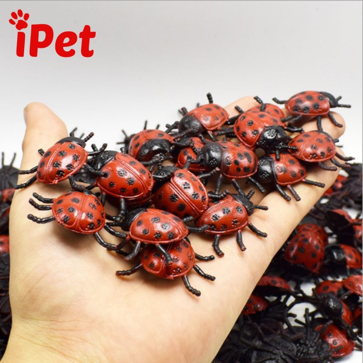 Đồ Chơi Côn Trùng Cao Su Cho Mèo Vớn Bắt - iPet Shop