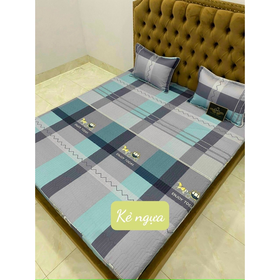 Bộ ga chun trần bông 3 lớp cotton 100%, hàng loại 1 ,kích thước 1m2/1m6/1m8/2m2- TIM XƯỚC