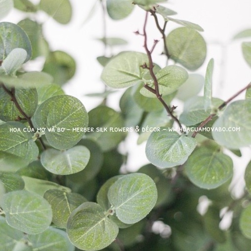 Cành Lá Táo Bạc Hà Giả Merber  Cành Dài 90cm Loại 3 Nhánh - Cành Lá Giả Cành Khô Decor Nhà Phòng Khách