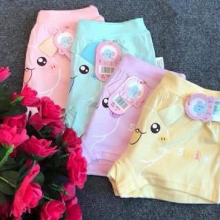 Combo 10 Quần Chip Đùi bé cao cấp