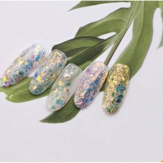 set nhũ vảy cá 8 màu trang trí móng