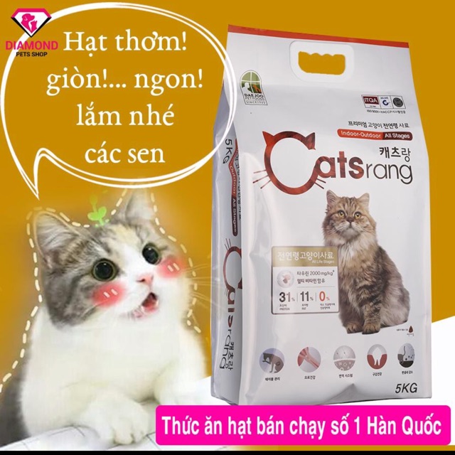 Thức ăn chó mèo