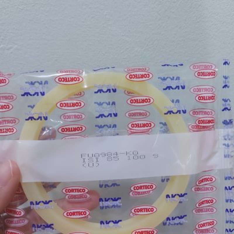 Phớt ben Nhật NOK 85 100 9 FU098-K0