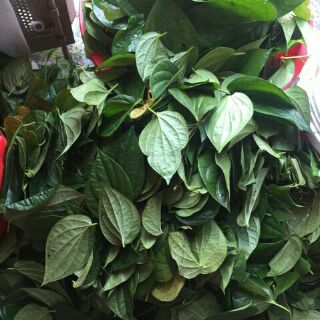 100g bột lá trầu không