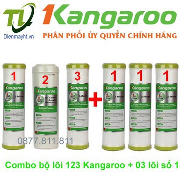 Combo 6 lõi lọc số 123+111