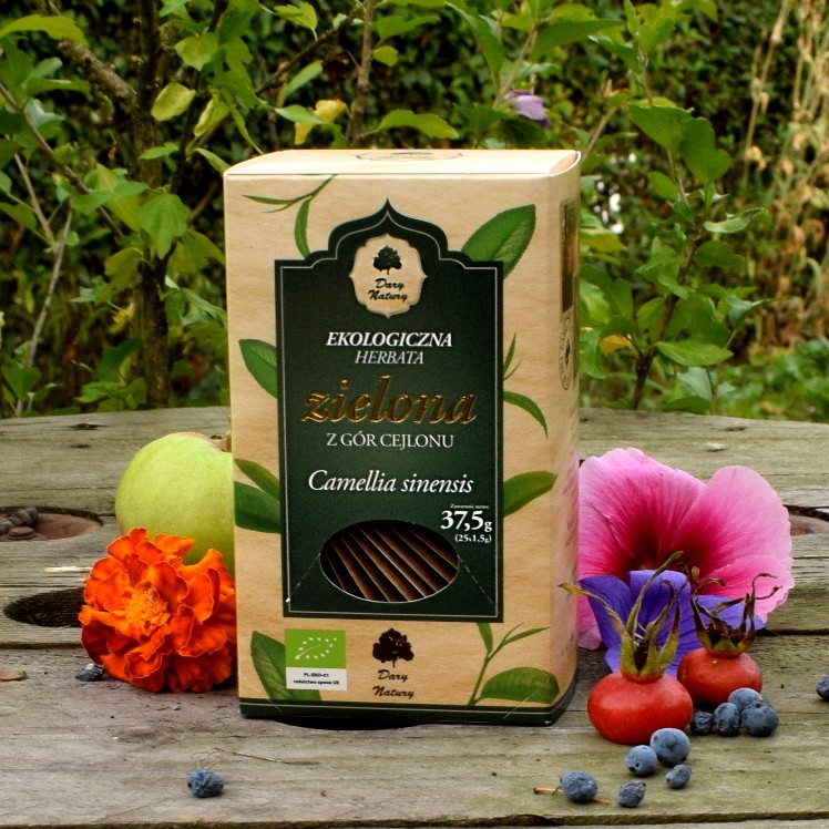 Trà xanh túi lọc hữu cơ | BigBuy360 - bigbuy360.vn