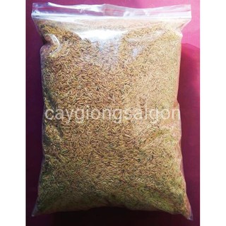 1KG VỎ TRẤU KHÔ