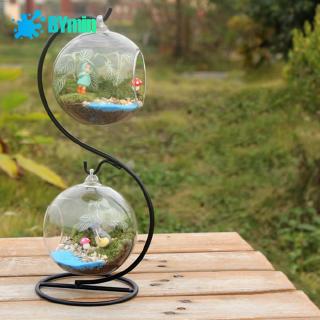 Set 2 lọ hoa thủy tinh trong suốt trang trí