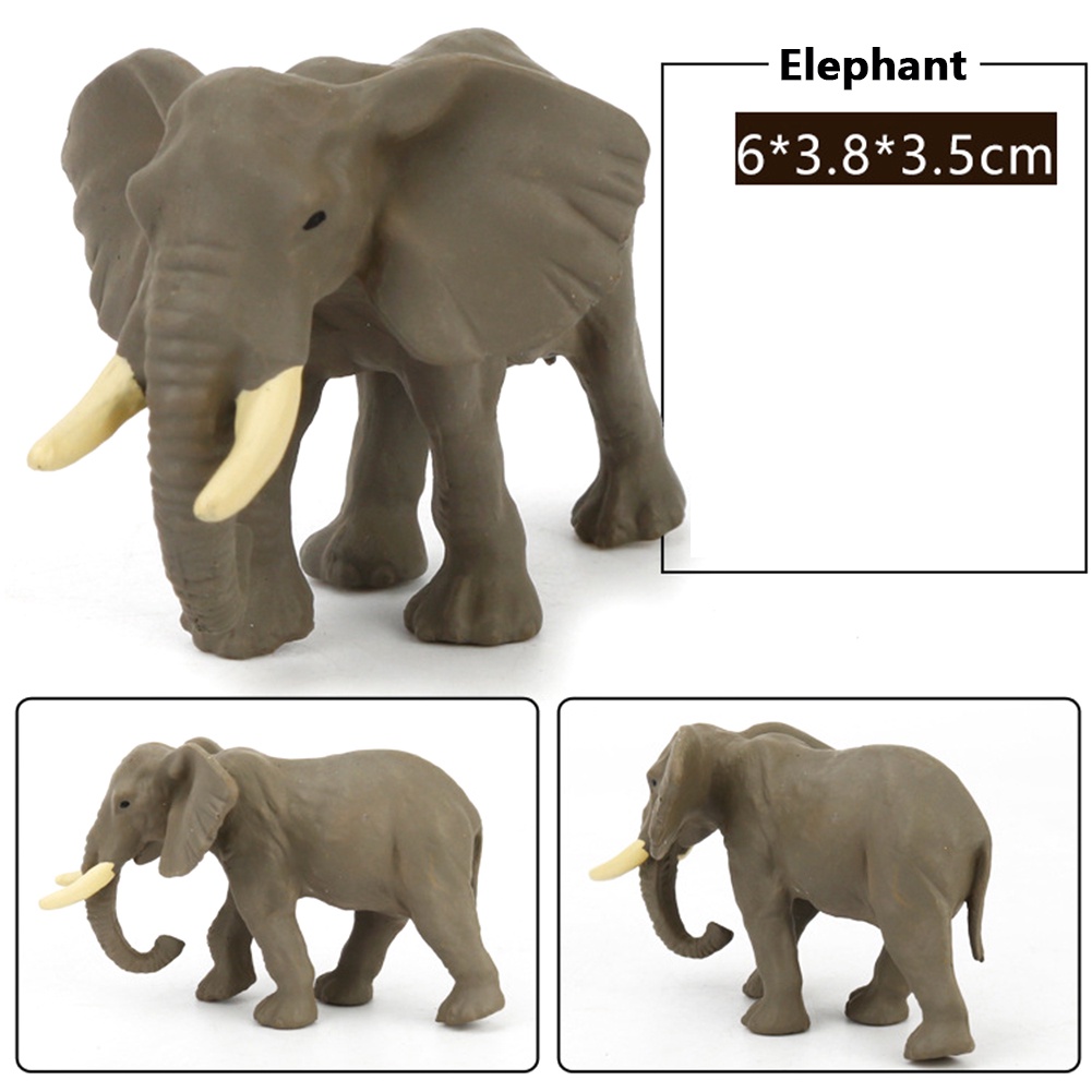 Set 12 Mô Hình Động Vật Hoang Dã Đồ Chơi Giáo Dục Cho Bé