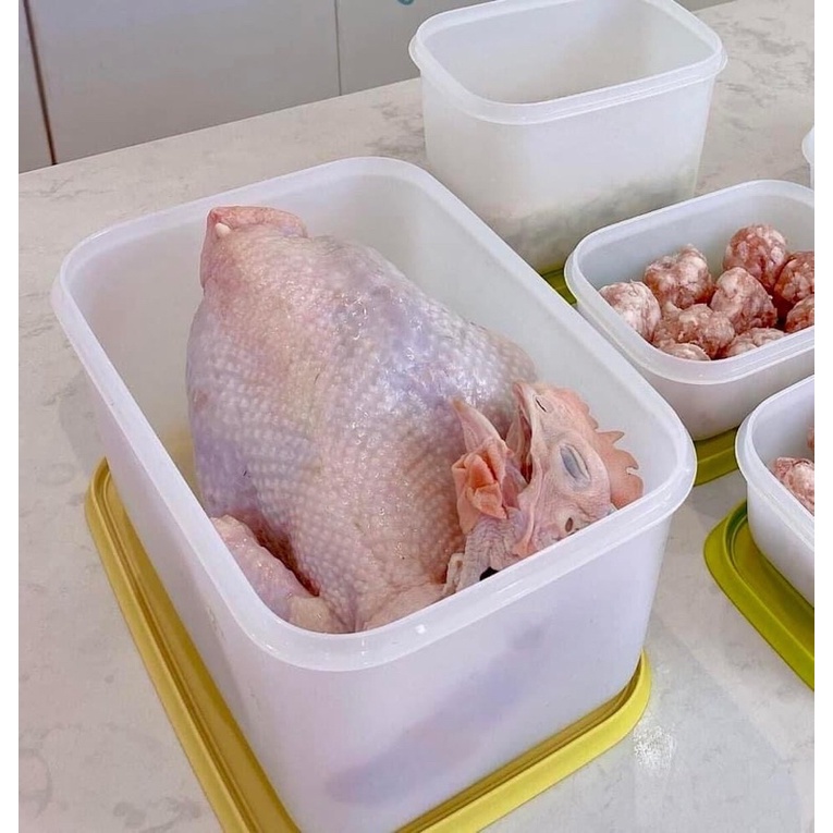 Set 4 Hộp Nhựa 2,5L Đông Dẻo Gen 2 Chính Hãng Tupperware - Bảo Quản Thực Phẩm Tươi Ngon Hơn