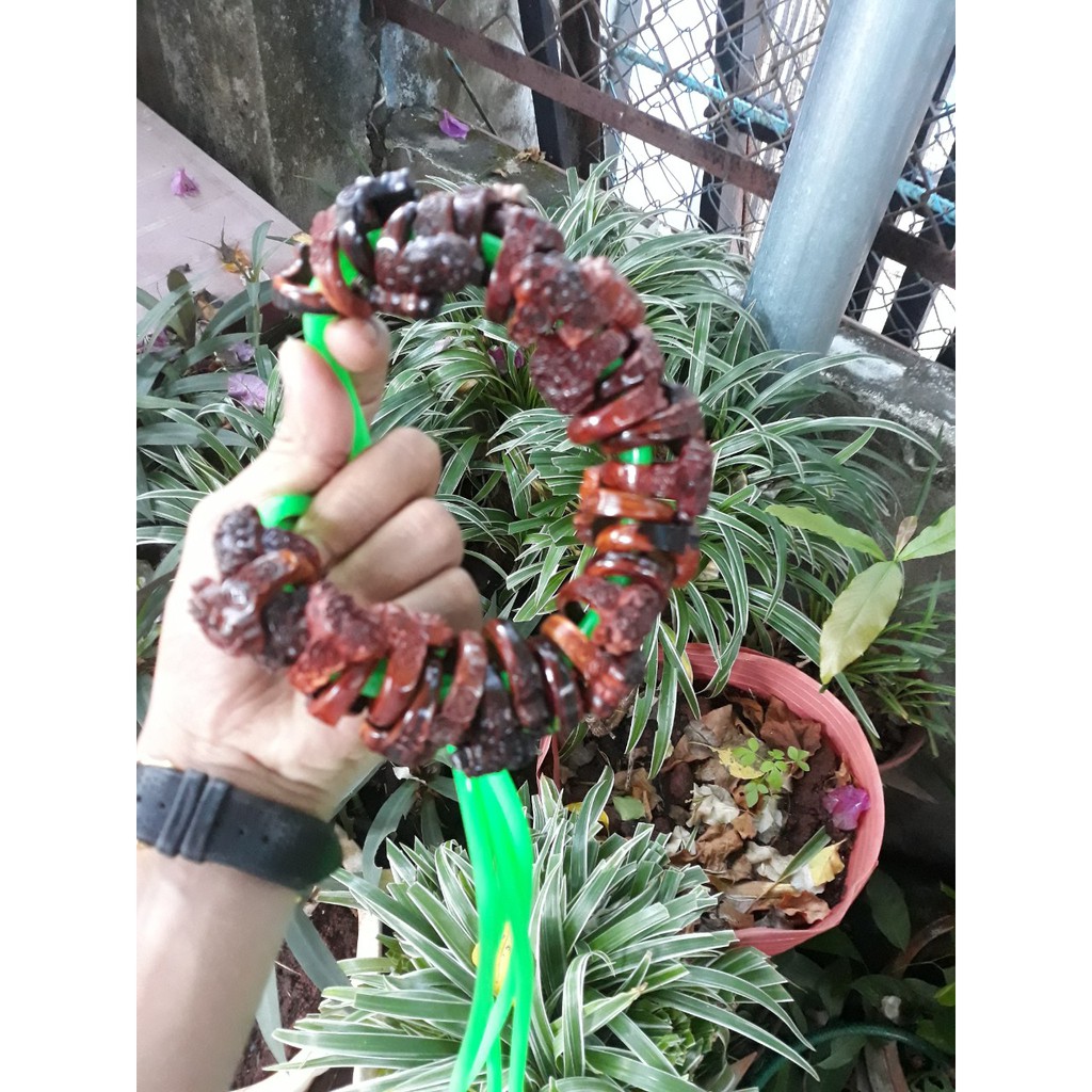 Nhẫn gỗ chạm tỳ hưu phong thủy theo yêu cầu