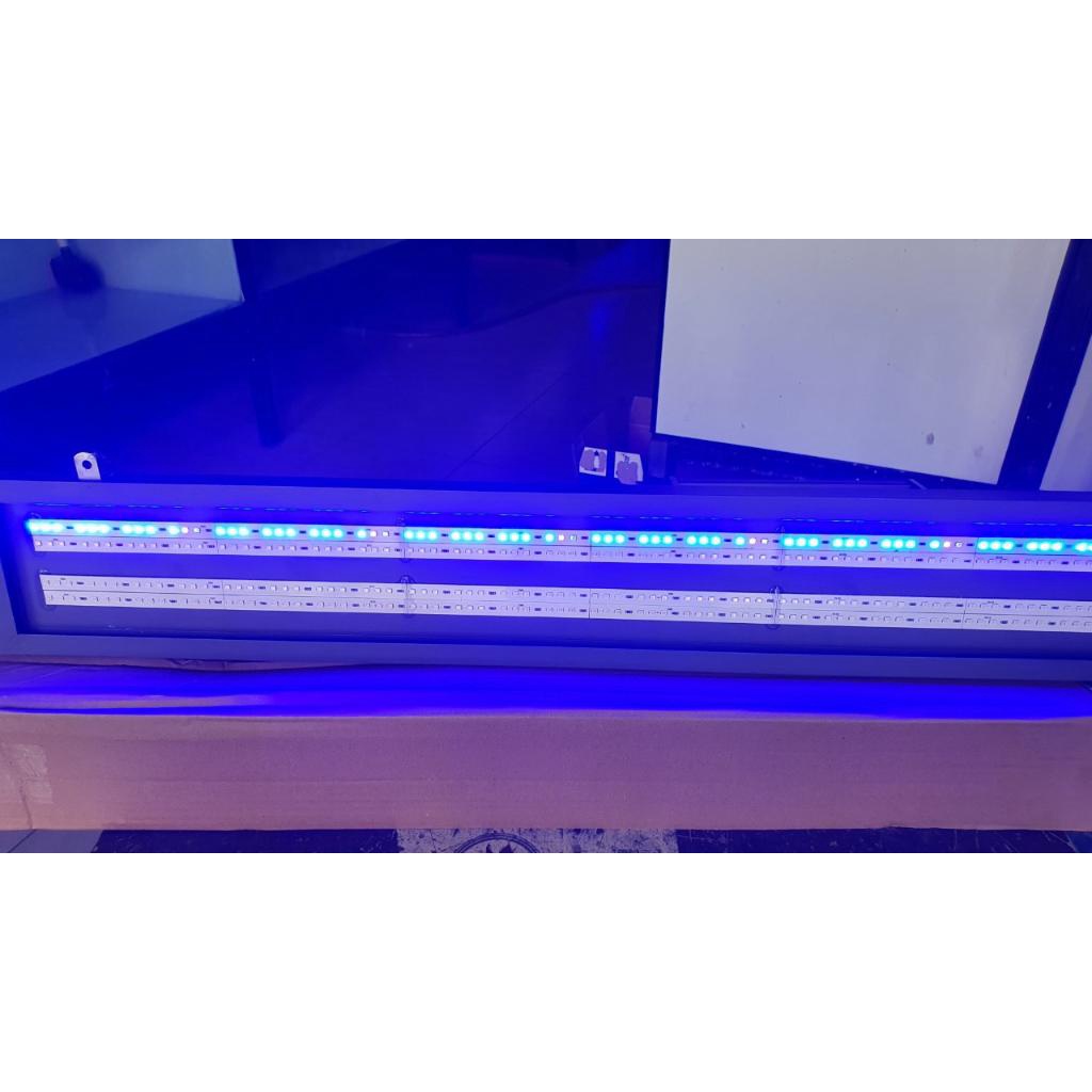 Đèn LED BLUE Chuyên Dụng TANNING Cho Cá Rồng Với 4 Dãy Led Kích Thước 1m, 1m2, 1m5