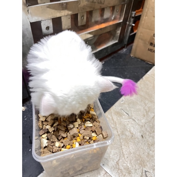Hộp mix trứng + gan + ức gà 600g cho cún méo hamster