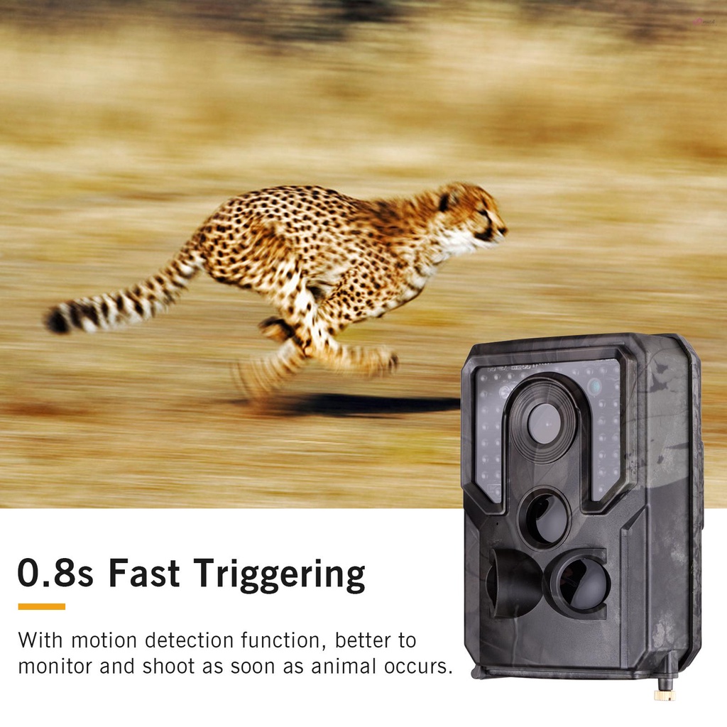 Camera hành trình Andoer Wildlife FHD 1080P 120 góc rộng 0.8s IR IP54 32GB chống thấm nước với tầm nhìn ban đêm tốt 1/4 giao diện
 | BigBuy360 - bigbuy360.vn