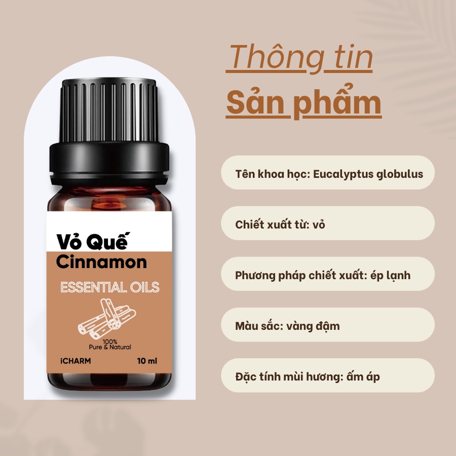 Tinh dầu vỏ quế 100ml xông phòng iCHARM - 100% nguyên chất, không mùi hương nhân tạo