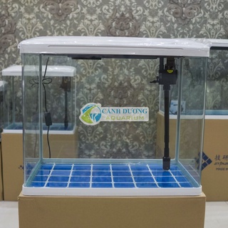 Hồ cá mini để bàn xs-620