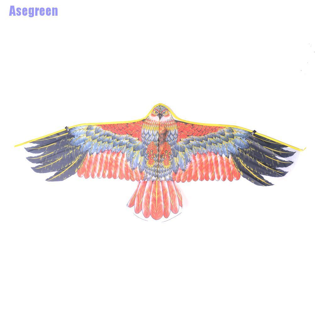 Chú Chim Đại Bàng Cỡ Lớn Độc Đáo