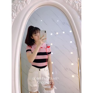 áo len kẻ montoghi cổ bẻ