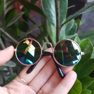 Kính mắt cho thú cưng