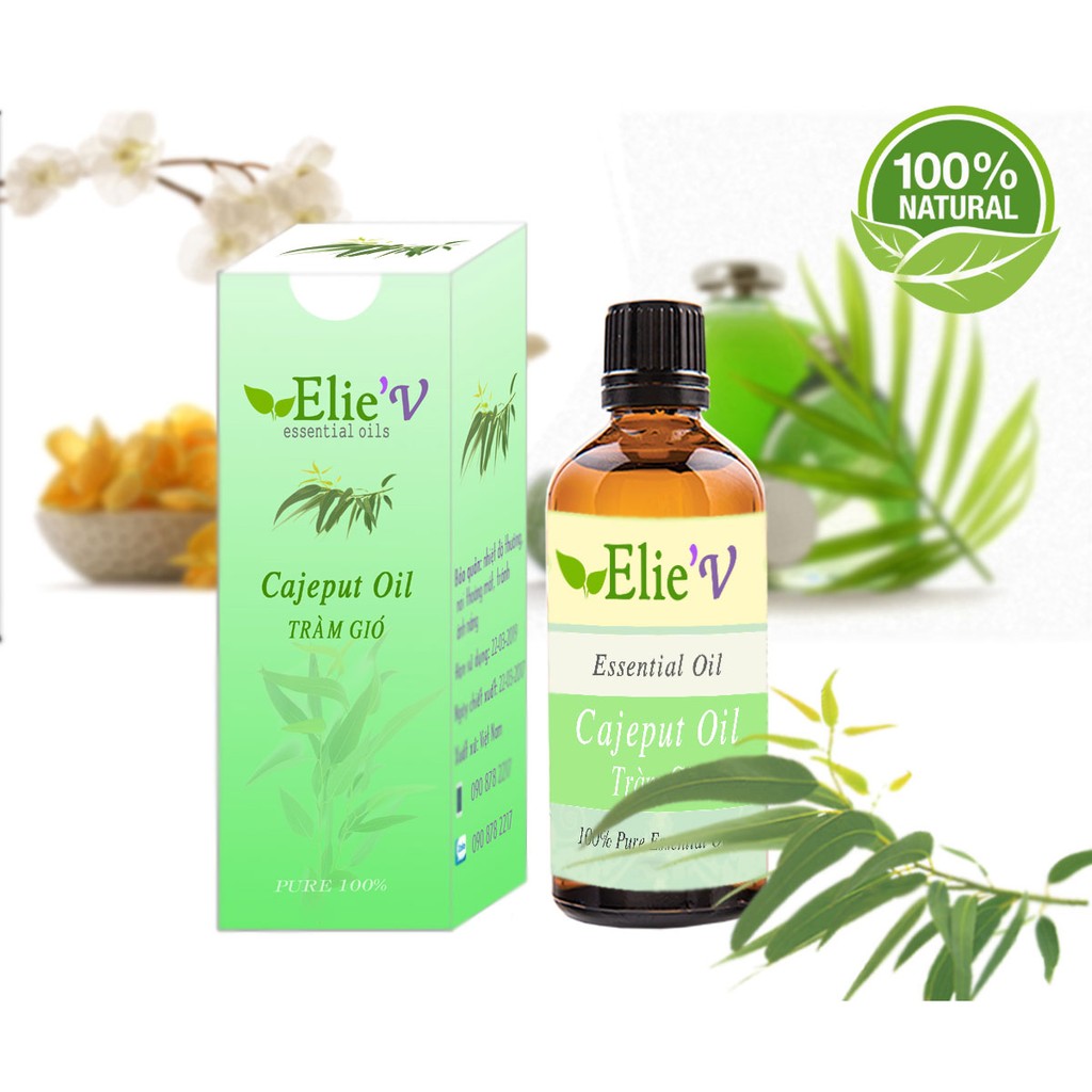 [Mã LIFEHOT1505 giảm 10% đơn 99K] Tinh dầu tràm gió nguyên chất 100ml