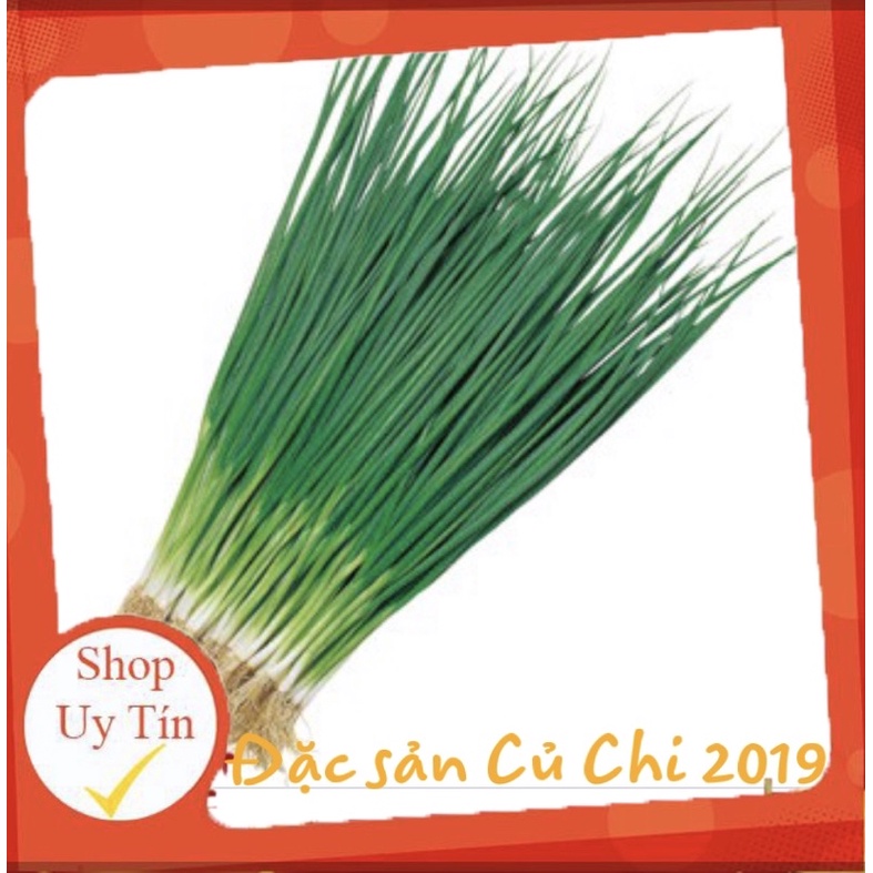 Hạt giống hành lá Rado 25