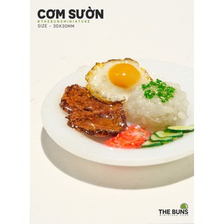 Mô Hình Miniature Cơm Sườn Bằng Đất Sét