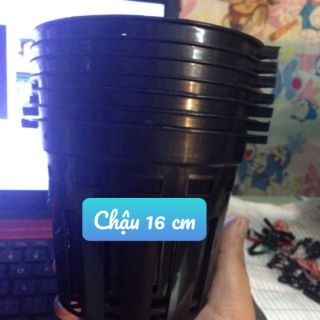 Chậu nhựa trồng lan 16 cm