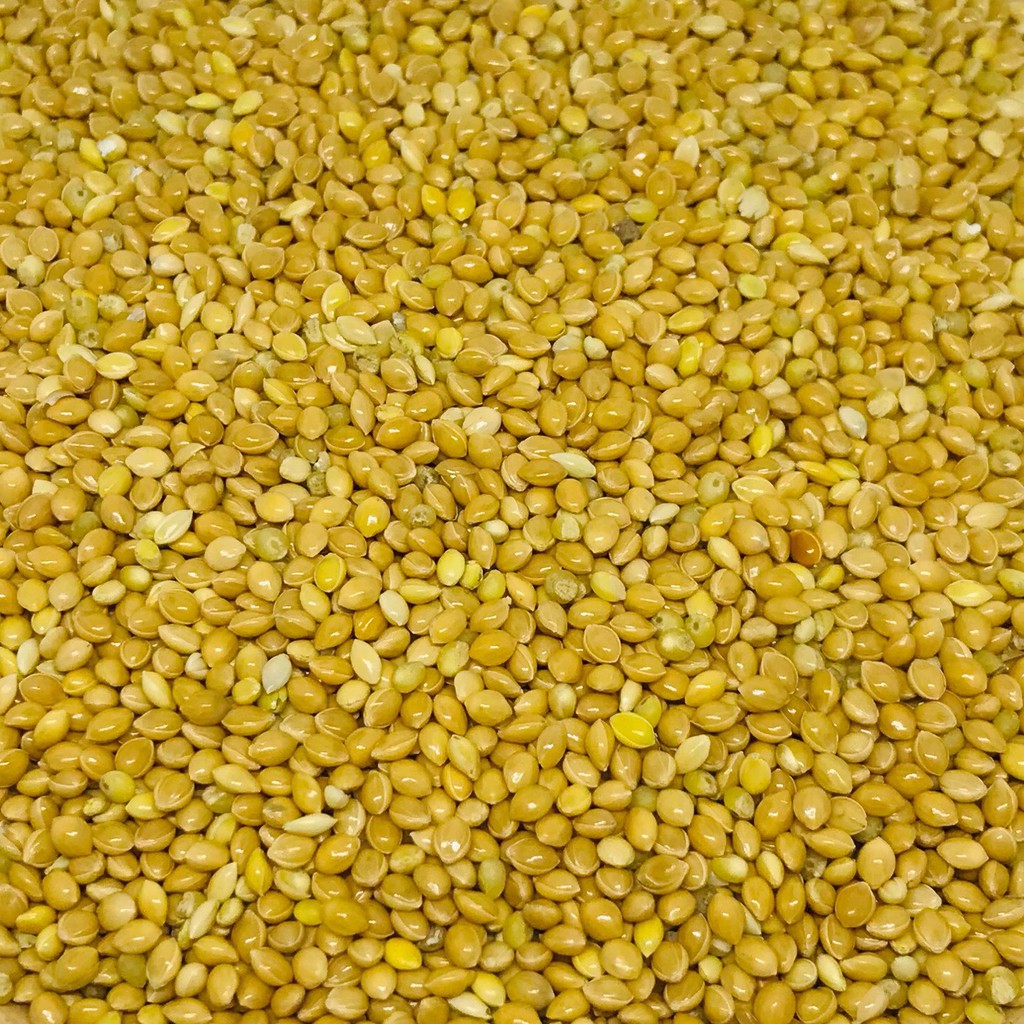 KÊ VÀNG - GÓI 1KG | BigBuy360 - bigbuy360.vn