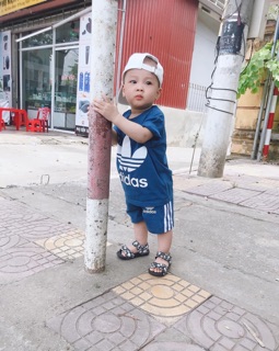 Set Das xuất