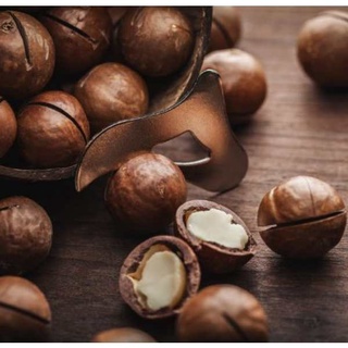 Hạt Mắc Ca tách vỏ PN Mart - Hủ 500g