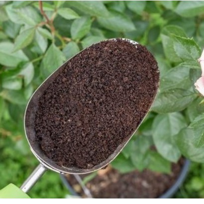 Bã cà phê - phân bón cho rau sạch - chống nấm cho rau hoa