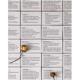 Dictionary Library - 100 trang từ điển đóng cuốn (Hàng có sẵn)
