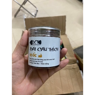 Hạt DAN silicol câu trắm đen, trắm trắng ăn lửng [anhkhoafishing.vn]