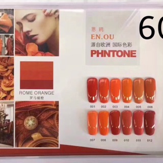 Sơn enou ( set 12c)..