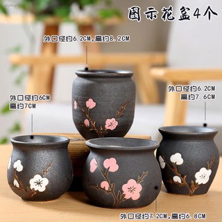 Bộ 10 chậu hoa sứ 9.9 thiết kế xinh xắn tiện dụng