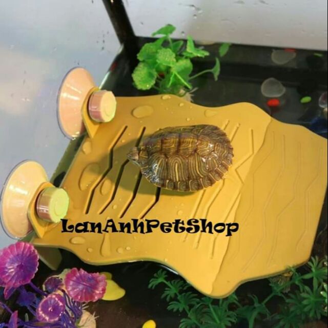 MÁNG LEO THỜI TRANG ( HÀNG ORDER, KHÔNG CÓ SẴN. VUI LÒNG INB CHO SHOP)