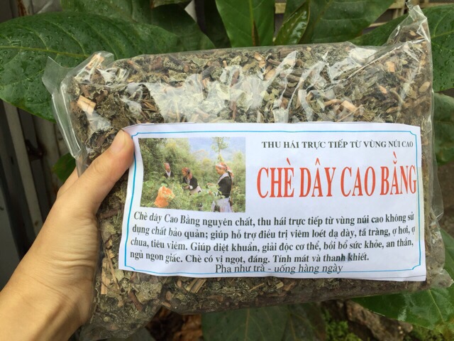 Combo 5kg Chè dây Cao Bằng hỗ trợ viêm loét dạ dày, tá tràng, HP