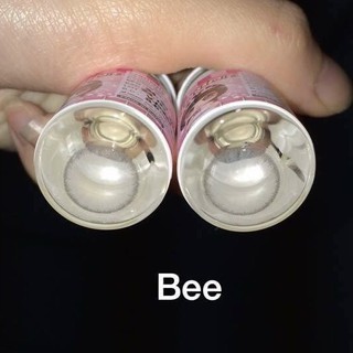 Lens xám không viền siêu tự nhiên, tặng kèm khay gương