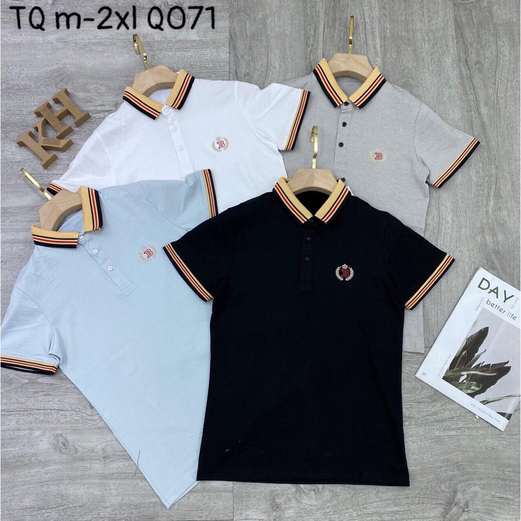 Áo Thun Nam Có Cổ ,Kiểu Dáng Body ,Trẻ Trung ,Năng Động (KIM ANH STORE 1003/2 Bình giã Vũng Tàu)