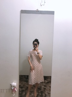 Đầm hót giá hạt dẻ